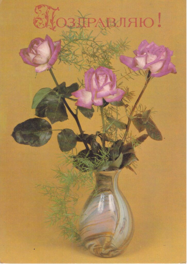 фото розы аспарагус  переливистая ваза 1984