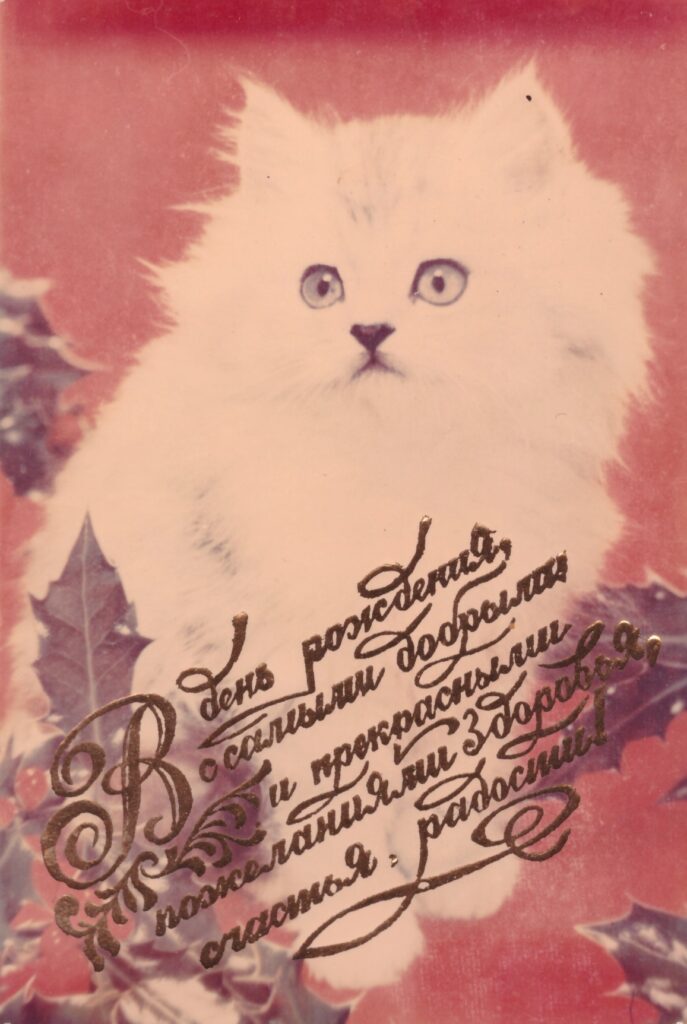 белый кот фото шрифт пожелание