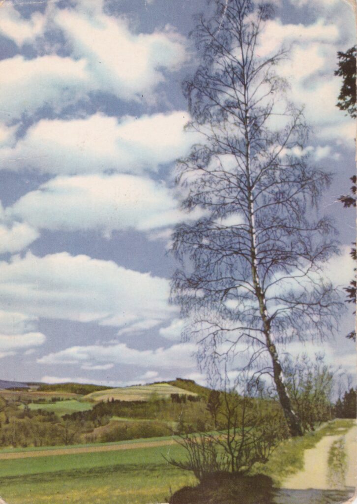 серия Auslese пейзаж весна 1987