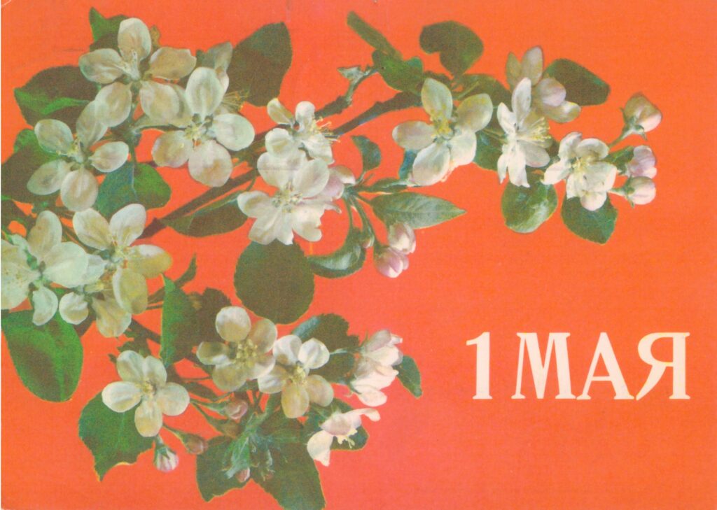 открытка 1987 год худ дергилёва