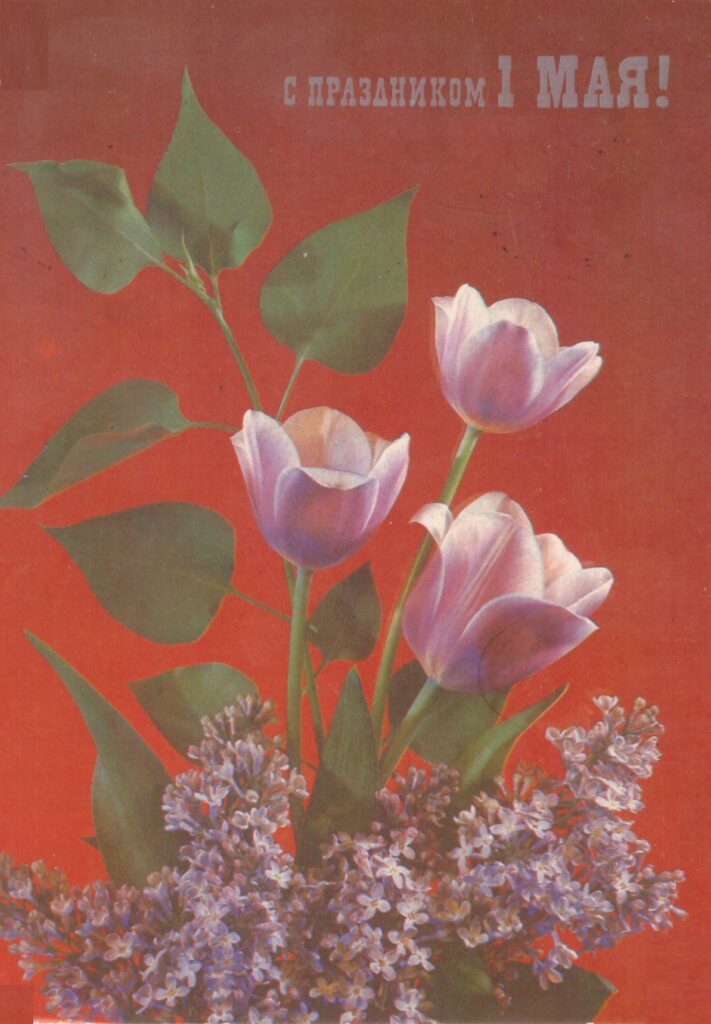 открытка 1990 год худ дергилёва